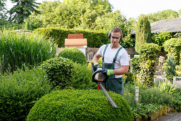 Best Commercial Tree Removal  in Margate City, NJ